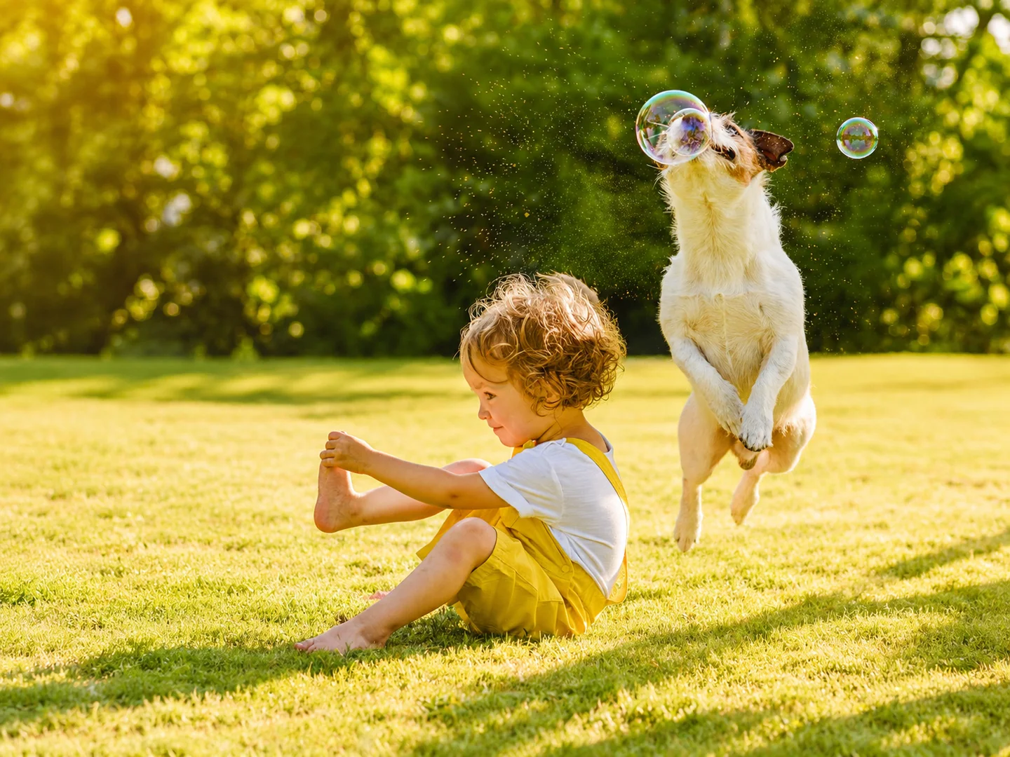 Photo originale d’un enfant assis sur l’herbe pendant qu’un chien saute pour attraper des bulles dans un parc ensoleillé.