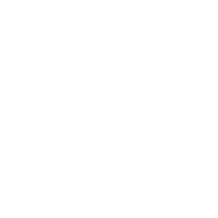 Grok Imagine Model Logo