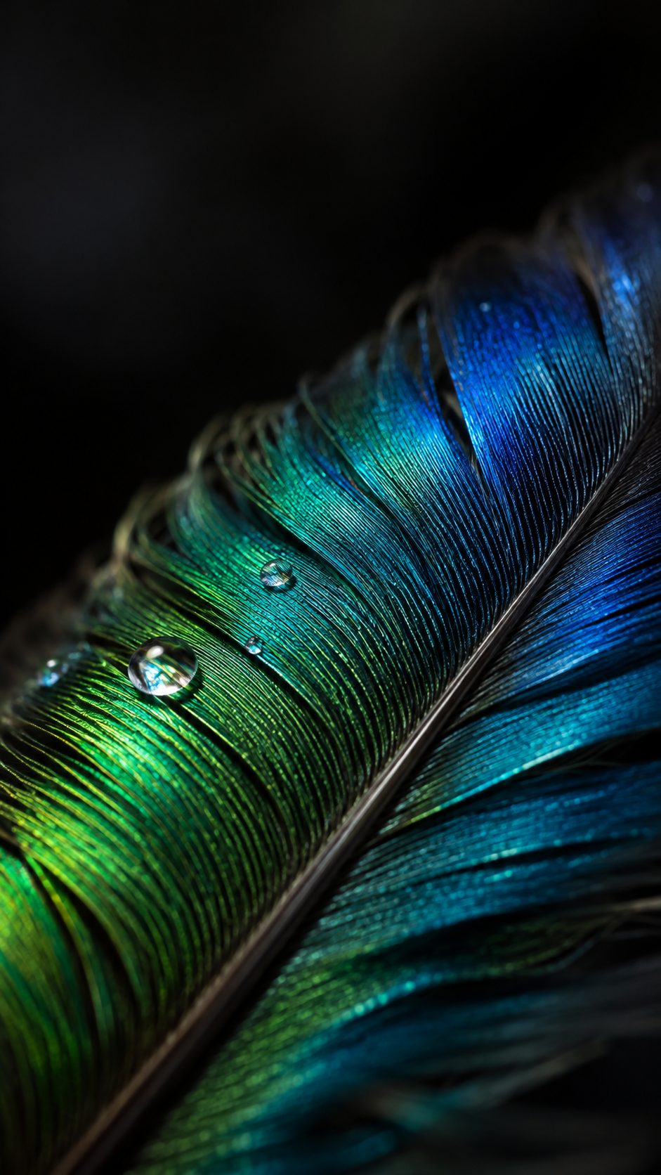 Extreme macro of an iridescent hummingbird feather with emerald and cobalt strands against a dark background